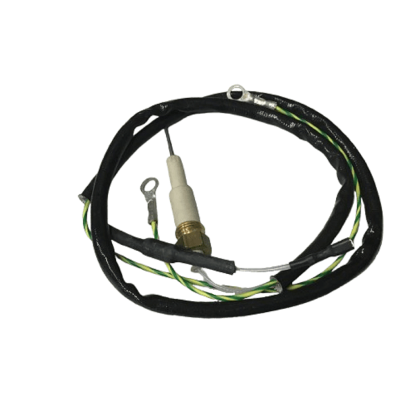 Myson 404A558 Electrode Assembly Special 404A826