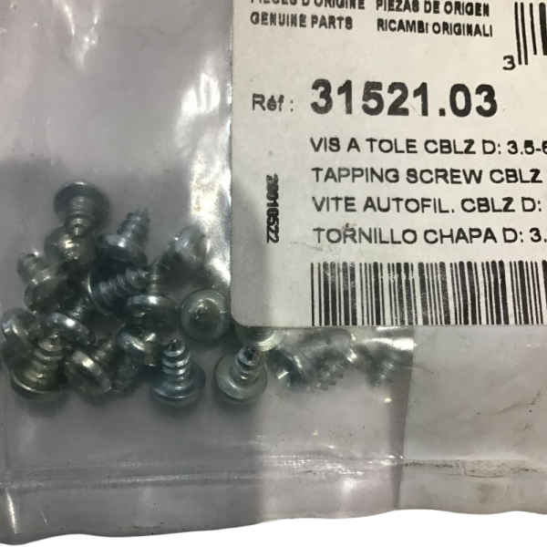 Chaffoteaux 31521.03 Tapping Screws (20 Pieces)