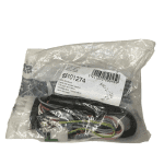 Ariston Microgenus II