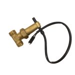 Ferroli 39800120 Flow Switch Assy