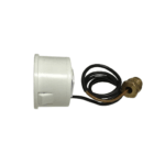 Ferroli 39806330 Pressure Gauge and Washer