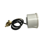 Ferroli 39806330 Pressure Gauge and Washer