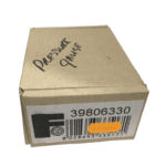 Ferroli 39806330 Pressure Gauge and Washer