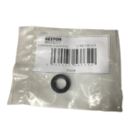 Keston Qudos and C36